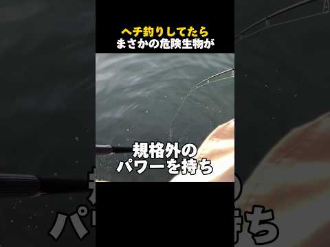 ヘチ釣りをしてたら危険生物が…#shorts