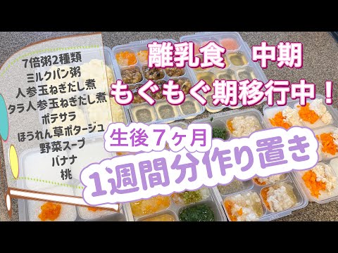 #4[生後7ヶ月]離乳食中期ストック作り！もぐもぐ期移行苦戦中。