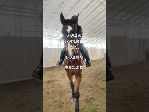 意味のない縁、出会いなんてない🐴 #サチモ #さっちゃん #引退馬支援 #ほーちゃんねる応援コース #ご予約ありがとうございます