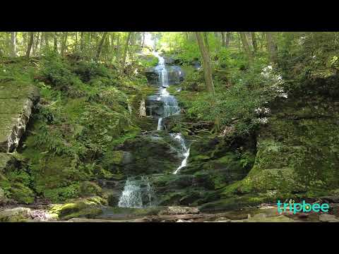 🌿Buttermilk Falls Beauty: 1 Hour of Relaxing Waterfall with Natural Sound for Meditation/Study/Sleep