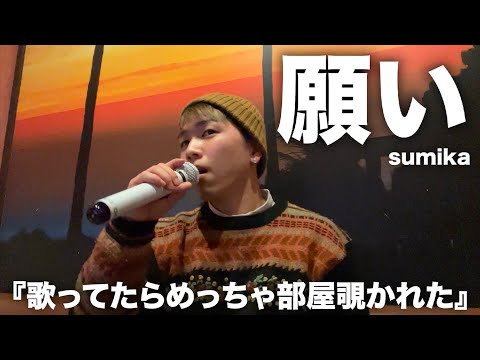 「願い」歌ってみたので聴いてください。【sumika】【歌ってみた】