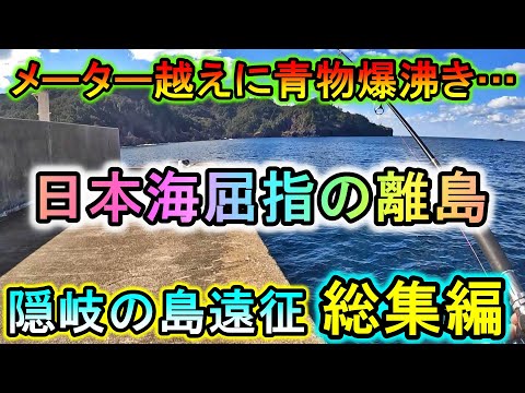 【総集編】泳がせアジが次々消える…堤防で魚が爆沸き&１ｍ越え怪物も釣れる離島が楽しすぎる