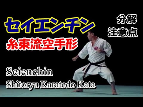 Seienchin Shitoryu Karatedo Kata 糸東流セイエンチン空手道形全集第2巻