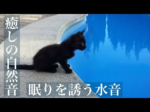 【癒しの自然音】　水の流れる音と鳥の声で脳疲労回復（睡眠用BGM・作業用BGM・勉強用・ASMR風）　Japanese healing sound