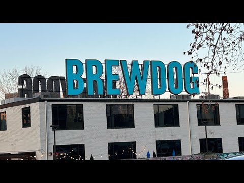 Food Review: Brewdog Cleveland  #brewdog #truffe #fries #burger #fyp #viral