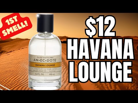 $12 Cheapie Gem! Belcam Anecdote Havana Lounge!