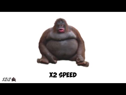 Monke meme fart sound variations