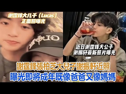 謝霆鋒張柏芝大兒子謝振軒近照曝光，即將成年，既像爸爸又像媽媽#谢霆锋#张柏芝#谢振轩#谢振南#Lucas#Quintus#小Q#謝賢#狄波拉#王菲