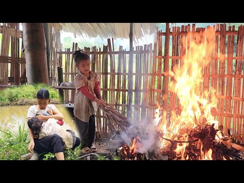 Single mother harvesting papaya to sell  - my daughter stayed home and played with the fire