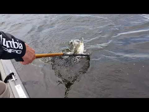 Part.2.New Brunswick Stripe  Sea Bass Fishing