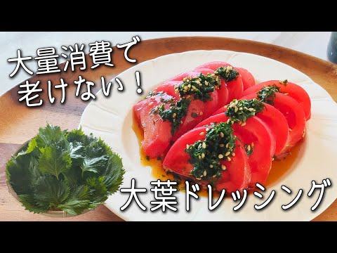 【青じそ ドレッシング】老化防止！ 大葉 大量消費！ 脂肪燃焼 する 健康 ドレッシング  失敗しない作り方 青じそ レシピ