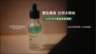 草本豐蘊養髮精華｜使用步驟