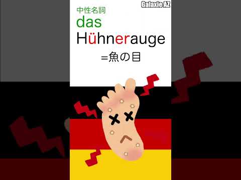 ドイツ🇩🇪語で「にわとりの目」ってなんのこと？🐔🧐 #shorts #ドイツ語