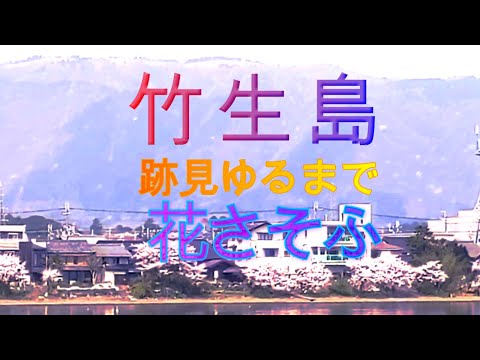 竹生島跡見ゆるまで花さそふ