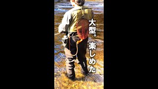 【渓流釣り ほうき川】ニジマス釣り 今年のNO,１男子　#shorts #ルアー #ニジマス 　River Healing Channel （リバヒ）