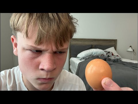 IM NOT AN EGG!!🥚🧑‍🦲