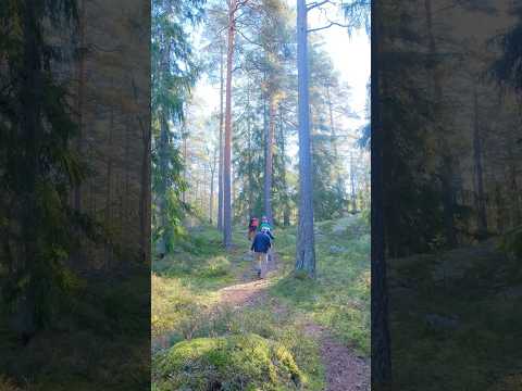 Hiking in Finland🇫🇮