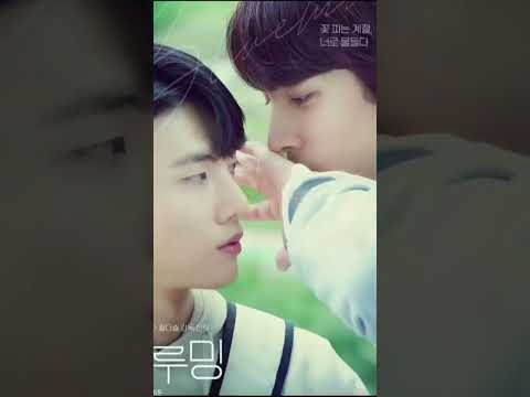 top 10 korean school romance BL series #kdrama #koreadramacast #shortvideo #top10kdrama