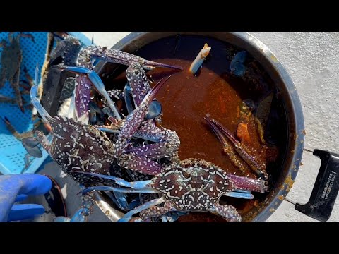 Gangjang Gejang: Freshly Caught Purple Crab Soaked in Soy sauce and Lßeft for 3 days.