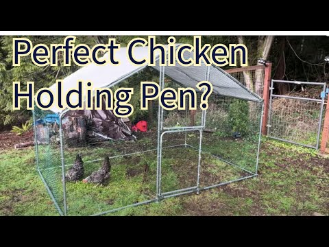 Vevor Chicken Coup Complete Detailed Assembly Tutorial Demonstration With Chickens Free-Ranging