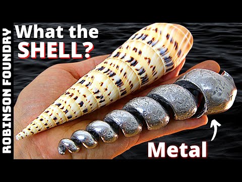 Pouring molten metal inside a seashell - WHAT HAPPENS? - Experimental metal casting at home - DIY