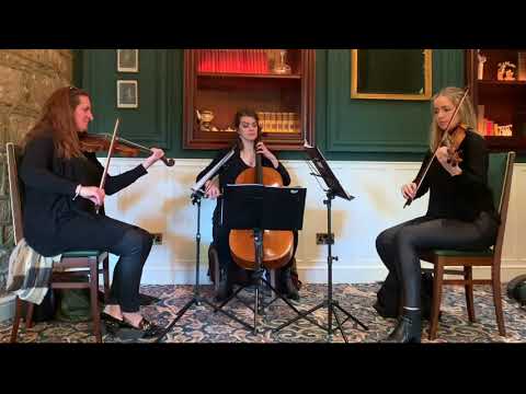 Tabhair Dom Do Lamh / Give Me Your Hand | String Trio (Sacred Sounds Wedding Music)