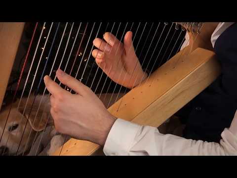 Carol of the Bells on a Harp