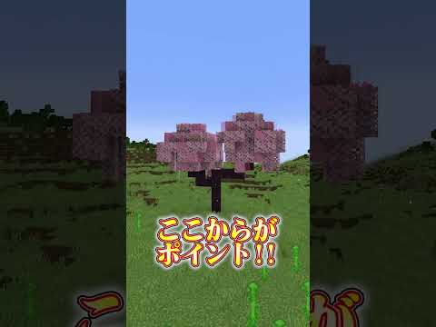 マイクラでかっこいい桜の木を作る方法【マインクラフト】#shorts