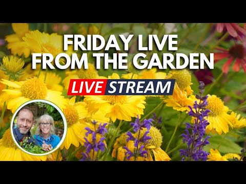 Friday Garden Live - What's Up? #live #gardening #friday