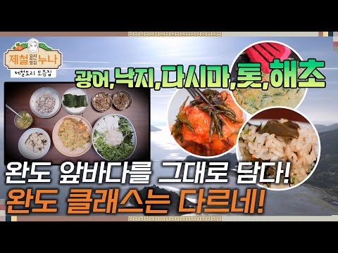 [제철 요리 모음집_시즌3] 완도 앞바다를 그대로 담아놓다! 완도 클래스는 다르네~! | 제철누나