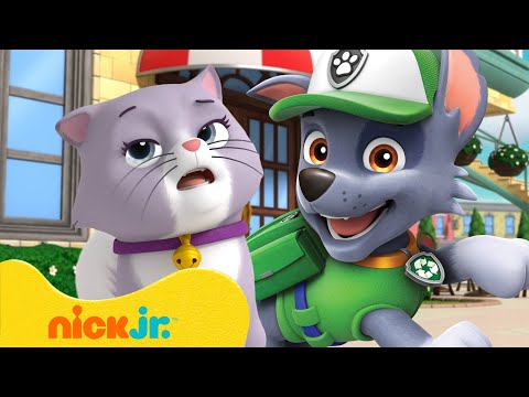 PAW Patrol Cali the Cat Rescues! 🐈 10 Minutes | Nick Jr.