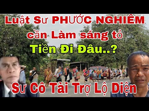 trách Nhiệm LUẬT SƯ của PHƯỚC NGHIÊM cần đưa ra ánh Sáng..