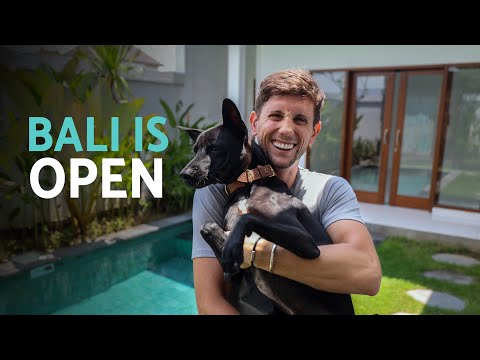 BALI IS FINALLY OPEN (I came home!)