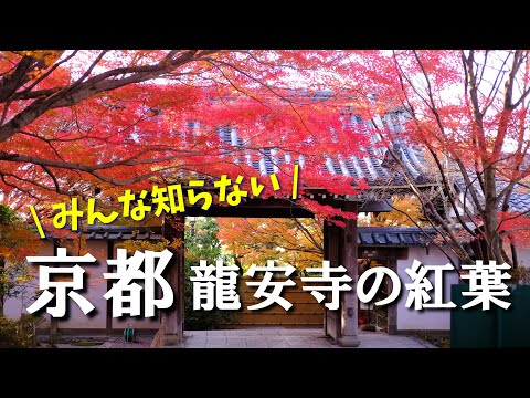 Kyoto🍁Ryoan-ji Temple, the most beautiful place to view the autumn leaves.