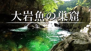 【大イワナの巣窟】流れ込みにルアーを投げ込むと…【渓流釣り】