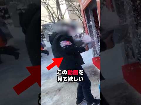 反日外国人に雪玉を投げつけられた日本人…#shorts #shortvideo #海外の反応 #日本#迷惑系youtuber