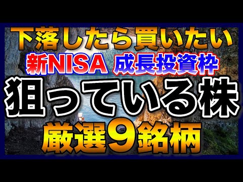 【高配当株】新NISAの成長投資枠で狙っている9銘柄【配当金】【優待】