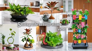 5 Beautifully Colorful Gardening Ideas for a Home Makeover & Bring Life to Your Home//GREEN PLANTS