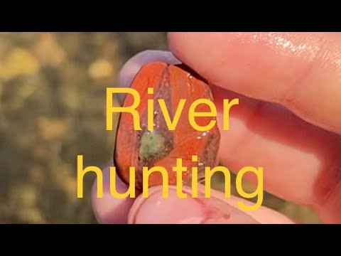 River hunting at fort Snelling river bank! (heidins legacy￼)