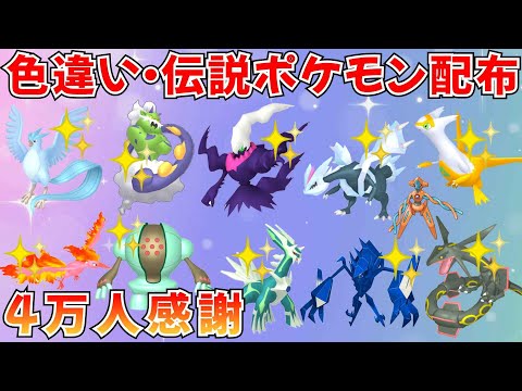 【ポケモンSV】色違いポケモン 伝説ポケモン配布  色キュレム 色ダークライ 色フリーザー 色トルネロス 色ネクロズマなど抽選 #ライブ配信 #ポケモンsv #初見歓迎