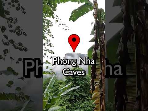 Phong Nha Caves 🇻🇳