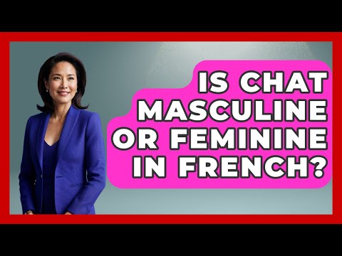 Is Chat Masculine Or Feminine In French? - Gender Equality Network