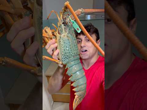 Cooking MASSIVE Green Lobster