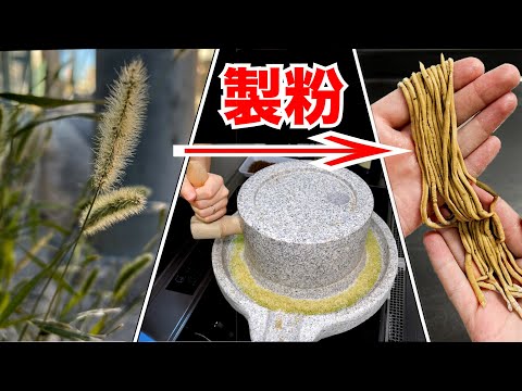 I made ramen from wild wheat ancestors【ENG SUB】