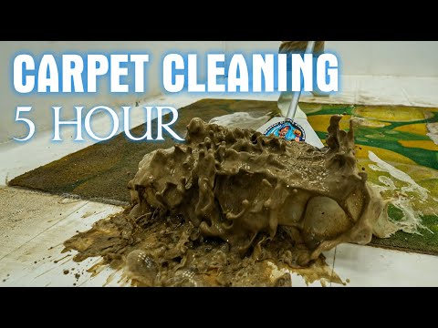 5 Hours Of Carpet Cleaning Helps You Sleep Well - Reduce Stress - ASMR Sleep - For Deep Sleep