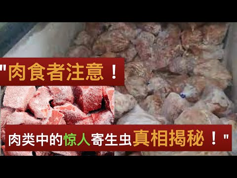 "肉类的黑暗之谜：年轻人不可忽视的寄生虫和细菌真相！"Hidden parasites and bacteria in meat。