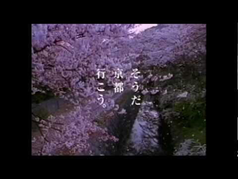 そうだ京都行こう－哲学の道　1997年3月