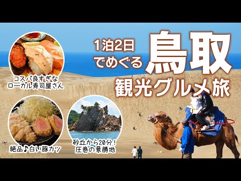 More than just dunes! 2-day/1-night trip to Tottori