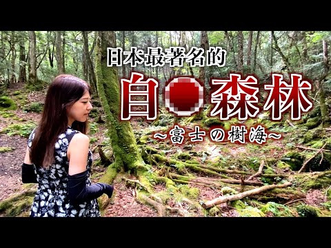 [CC: Eng Sub] A field trip to the "Suicide Forest" Fuji Sea of Trees, what's it really like?