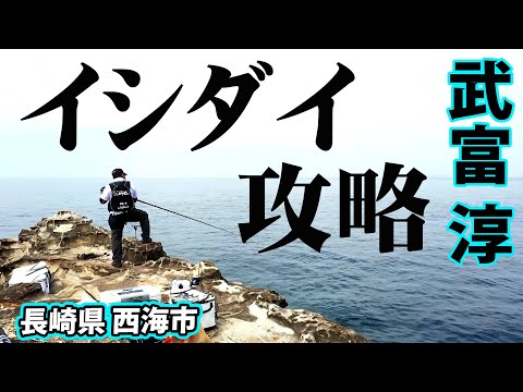 西海市で春ののっこみイシダイ釣り 2/2 『磯釣りギャラリー 武富淳』【釣りビジョン】